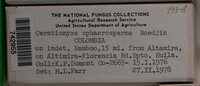 Image Associated With the Occurence